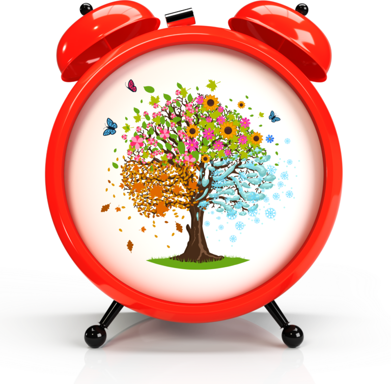 Minimalist 5 Cycle Diagram Graph (9)